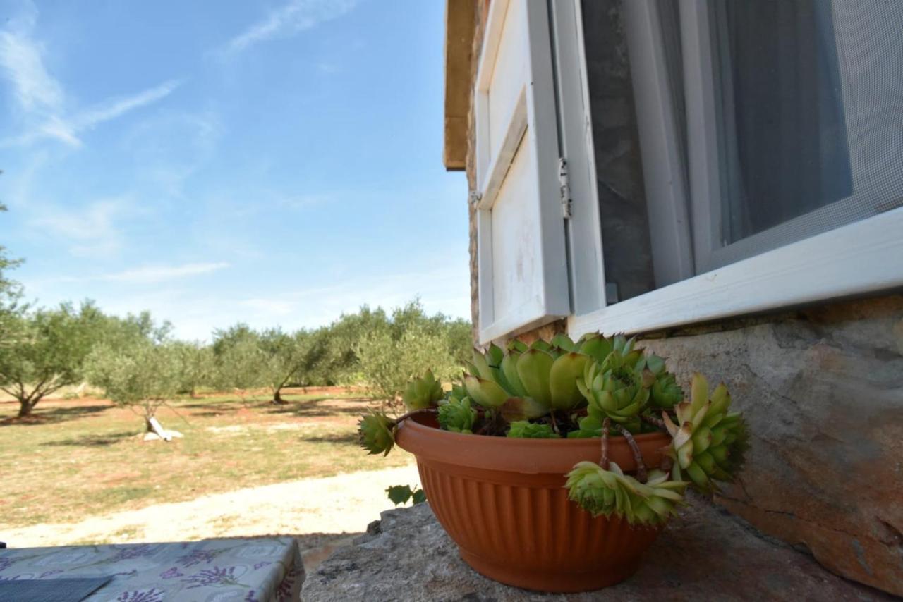 Cottage Rugonj Stari Grad  Exterior foto